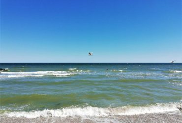 В Запорожской ОВА объяснили, когда может начаться курортный сезон