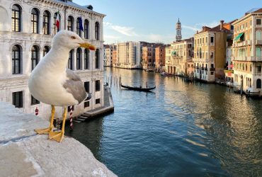 В Італії придумали новий штраф для туристів: яке порушення обійдеться в 60 тисяч євро