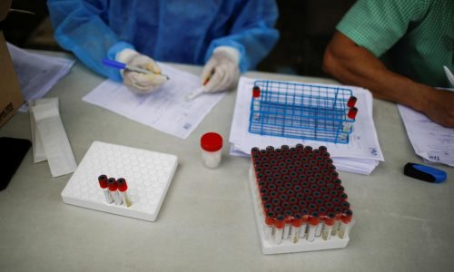 Scientific American: