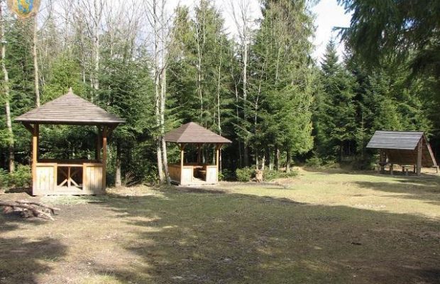 Появилась интерактивная карта обустроенных зон для пикника в лесах Львовской области