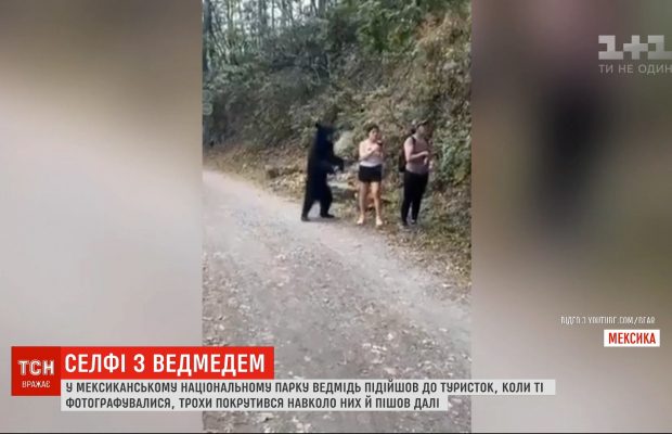 В Мексике медведь изрядно напугал туристок, когда те фотографировались (видео)