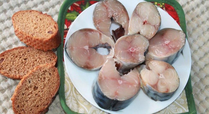 Как быстро и вкусно засолить скумбрию: простые рецепты аппетитной рыбки