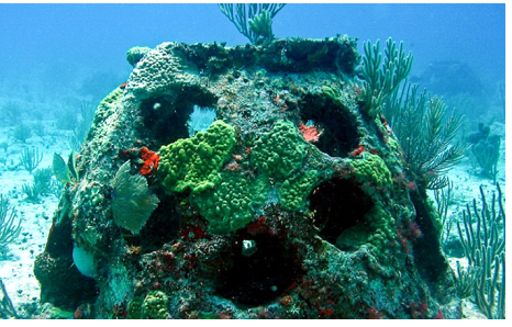 Поховання в морі, або штучний риф як вічне життя від компанії Eternal Reefs