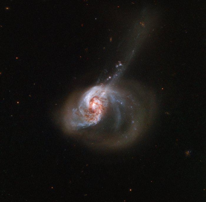 Галактика NGC 1614 / фото ESA/Hubble & NASA, A. Adamo