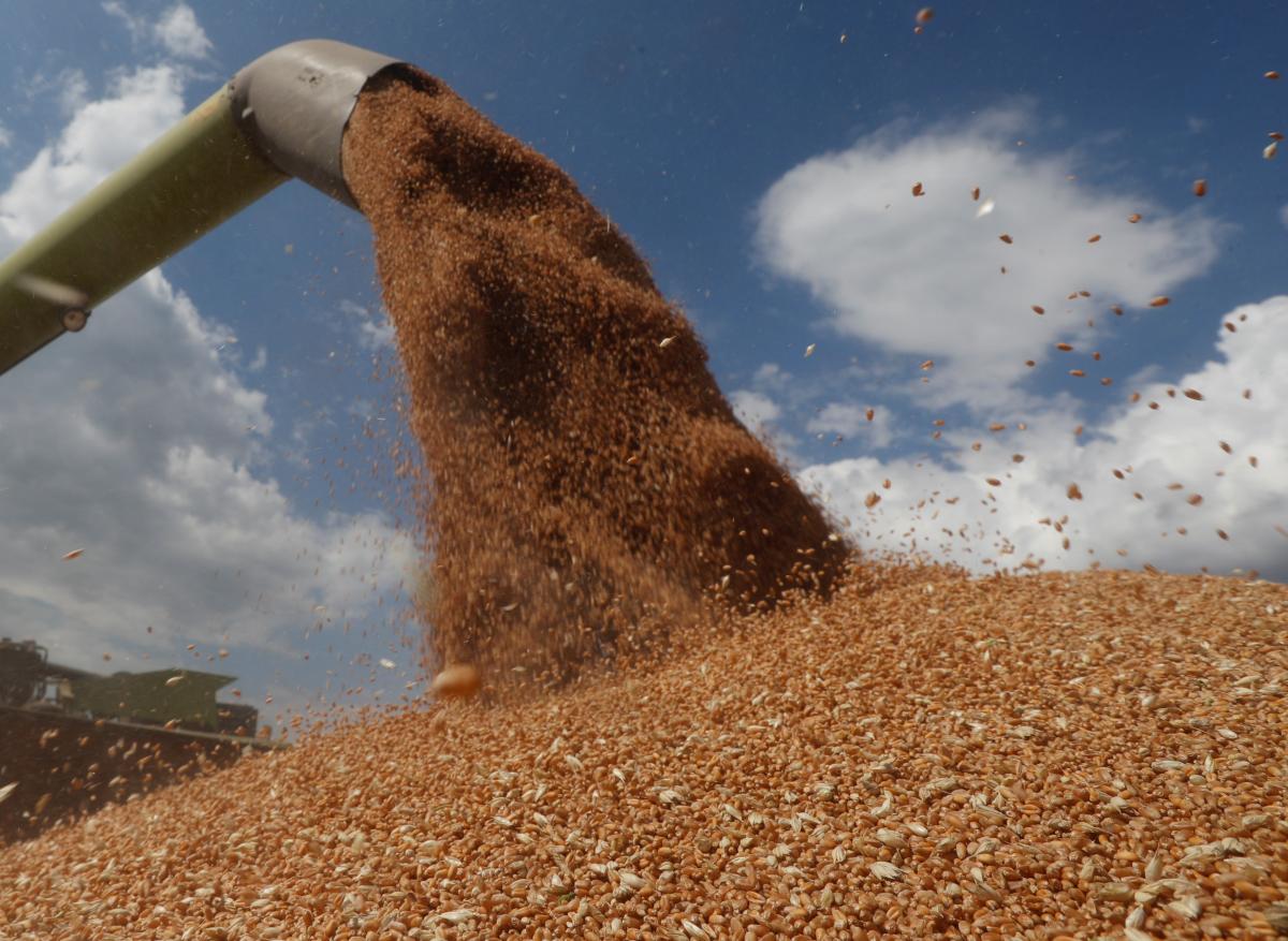 Russians steal Ukrainian grain / photo REUTERS