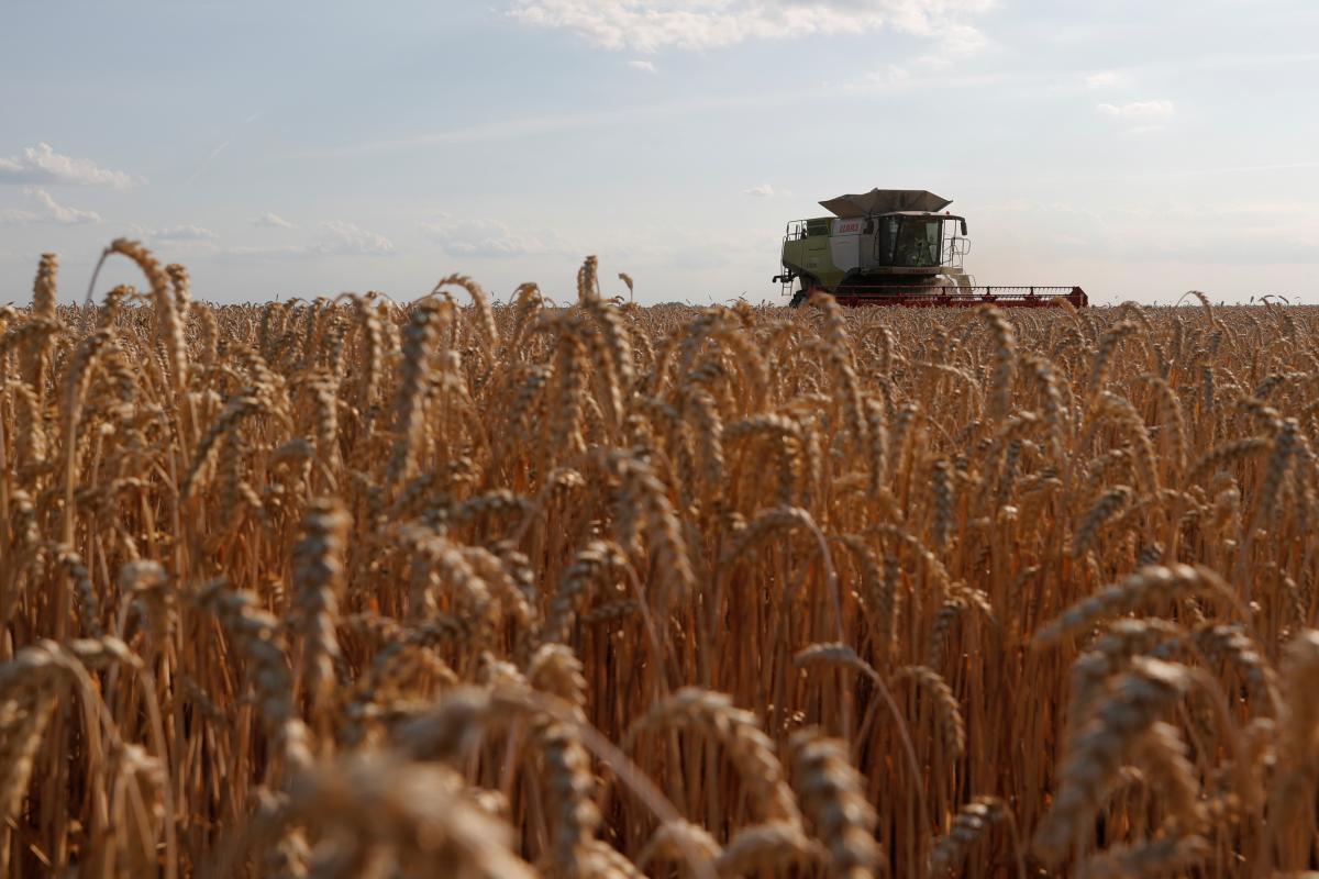 Россия ворует украинское зерно / фото REUTERS