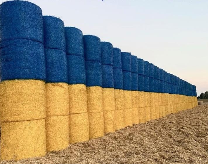 Солом’яний прапор "замайорів" на Тернопільщині / фото ПАП "Дзвін" Солом’яний прапор "замайорів" на Тернопільщині / фото ПАП "Дзвін"