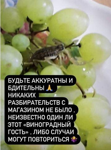 Скорпіон у винограді з магазину / фото скріншот Скорпіон у винограді з магазину / фото скріншот