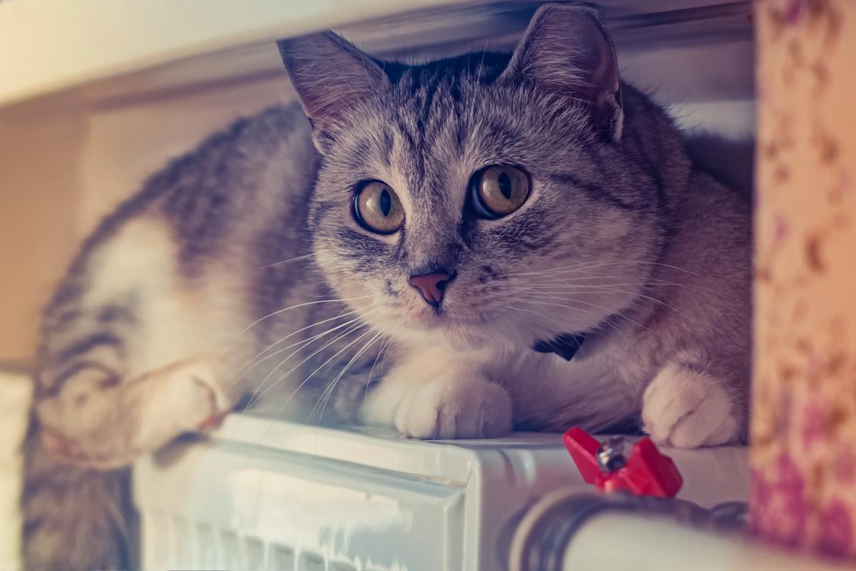 Україну чекає холодна зима / фото ua.depositphotos.com Україну чекає холодна зима / фото ua.depositphotos.com