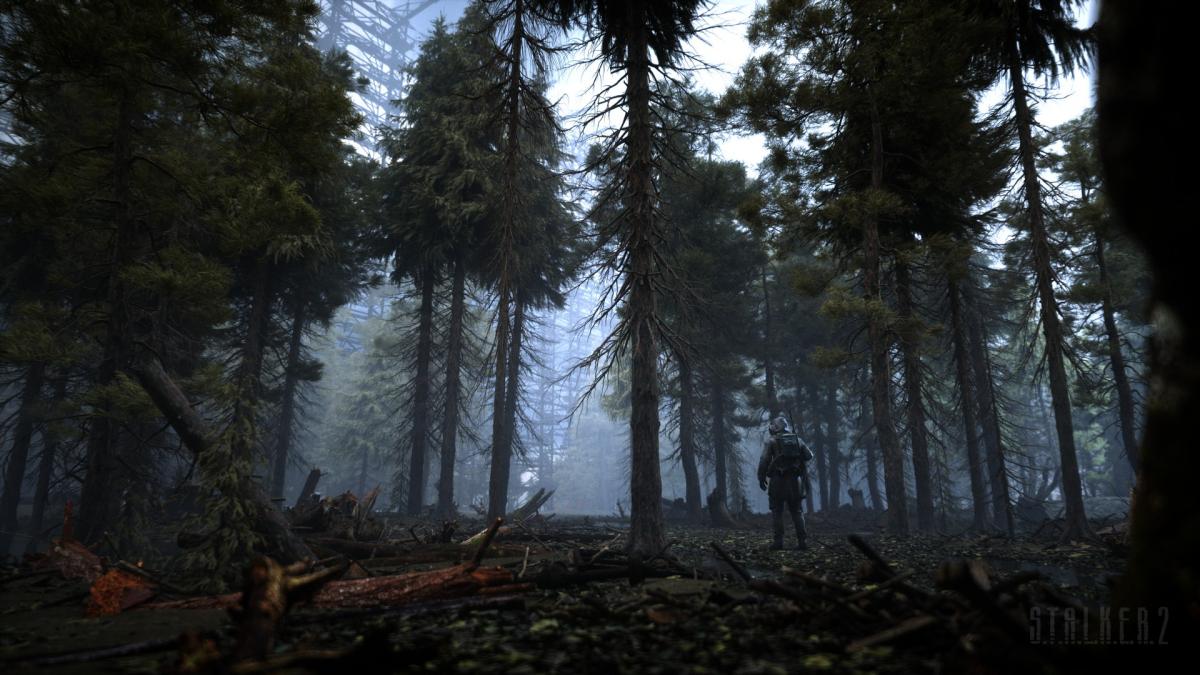 Разработчики обещают реализовать в игре большой открытый мир / фото stalker2.com Разработчики обещают реализовать в игре большой открытый мир / фото stalker2.com