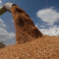 Ukraine exports over 18 mln tonnes of grain
