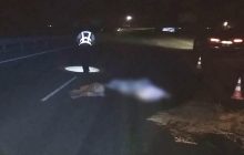 Біля Одеси на автотрасі знайшли напівоголене тіло жінки: у поліції розкрили подробиці (фото)