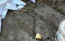 Ланцюг, ошийник та замок: на Вінничині жінка жорстоко "виховувала" доньку (фото)