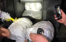 На Закарпатті затримали автобус зі 100 кілограмами бурштину, який везли до ЄС (фото)