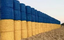На Тернопольщине посреди поля установили гигантский флаг из тюков соломы