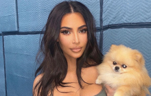 Заповіти світових зірок: хто хоче віддати мільйони собакам, а хто передав у спадок свій день народження