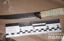 В Николаевской области женщина ударила мужчину кухонным ножом в живот (фото)