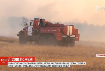 Кордон у вогні: на межі Болгарії та Туреччини не вщухають лісові пожежі