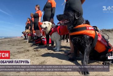 На пляжах Італії людей рятує з води собачий патруль