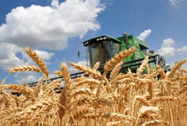 Ukraine offered Lebanon to buy grain and flour stolen by the Russian Federation at a reduced price