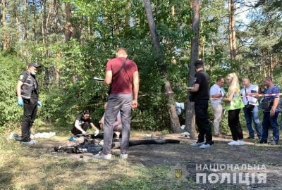 «Девушка с парнем в лесу огромных …» — создано в Шедевруме