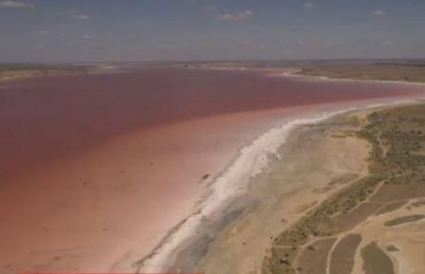 На Одещині Куяльницький лиман став червоно-рожевим (відео)