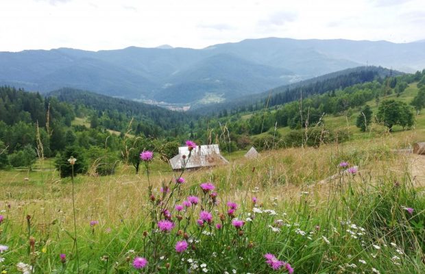 У відпустку по Україні машиною: захоплюючий і майже безпечний маршрут з Києва до Яремче