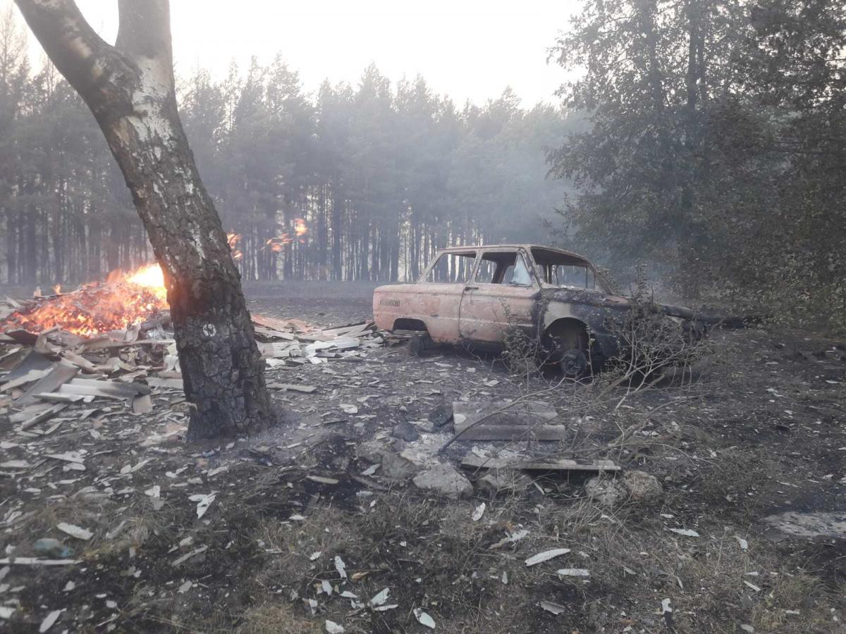 Лісову пожежу на Харківщині локалізували / фото ДСНС Лісову пожежу на Харківщині локалізували / фото ДСНС