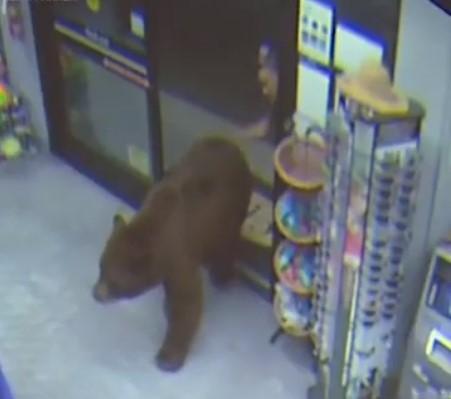 Один из покупателей шлепнул медведя по заднице / скриншот из видео