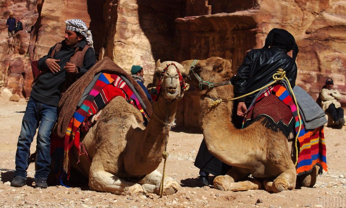 Погонщики верблюдов в каменном городе Петра в долине Вади-Муса (Иордания) / фото УНИАН (Алексей Кравцов)