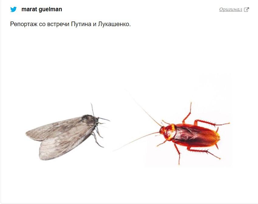 скриншот marat guelman скриншот marat guelman