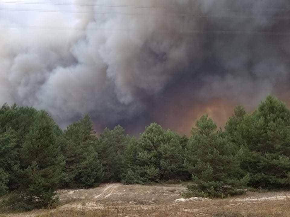 Near Kiev, a forest burns at a military training ground / photo facebook.com/UkrainianLandForces