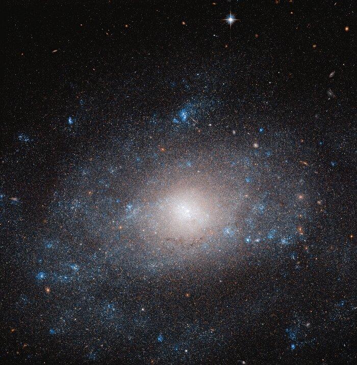 Галактика NGC 5585 / фото ESA / Hubble & NASA, R. Tully Acknowledgement: Gagandeep Anand Галактика NGC 5585 / фото ESA / Hubble & NASA, R. Tully Acknowledgement: Gagandeep Anand