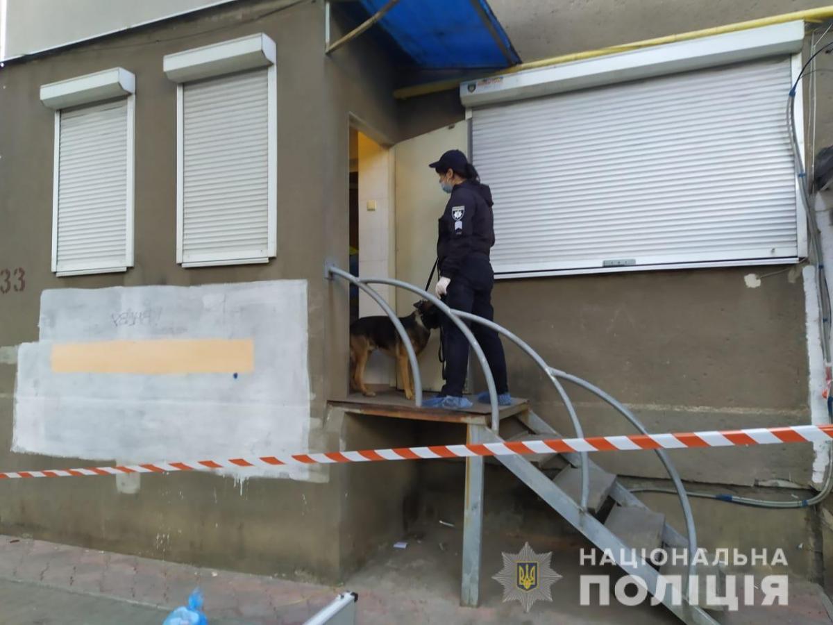 Дівчина загинула на місці / фото Нацполіція Дівчина загинула на місці / фото Нацполіція