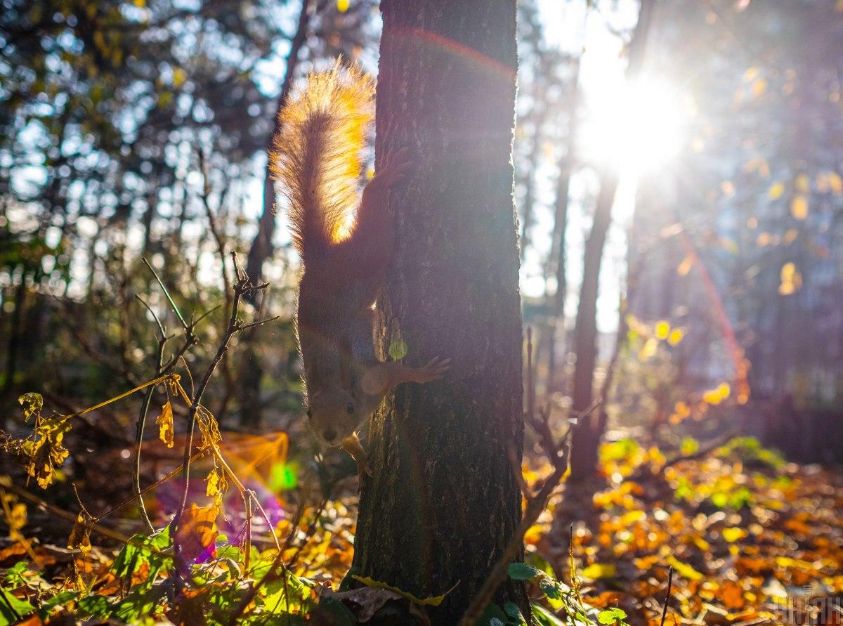 Погода в Україні сьогодні / фото УНІАН Погода в Україні сьогодні / фото УНІАН