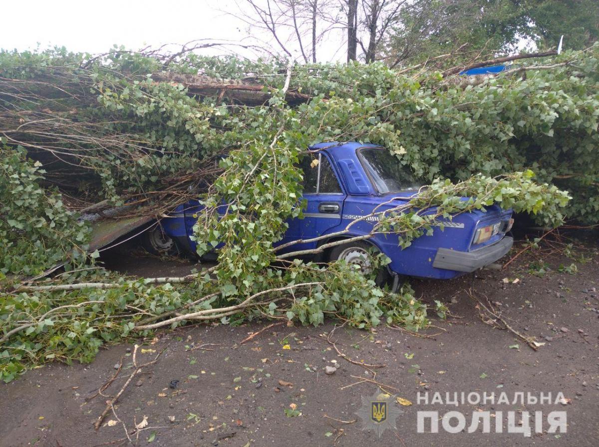 Фото Національна поліція Фото Національна поліція