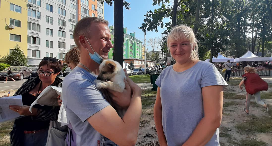 24 безпритульних тварин роздали людям в Ірпені / Фото itvua.tv 24 безпритульних тварин роздали людям в Ірпені / Фото itvua.tv