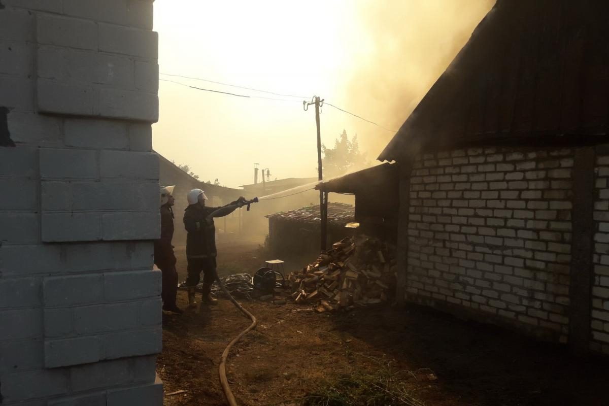Фото Масштабні лісові пожежі на Харківщині 03 вересня 2020