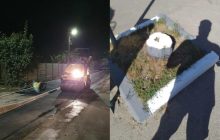 На Харьковщине к приезду Зеленского прокладывали дорогу и красили пеньки (фото)