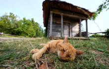 Погода на выходные: в Украину вернется летняя жара до +30°