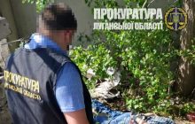 Диверсанта ФСБ приговорили к 10 годам тюрьмы за подготовку теракта в Северодонецке