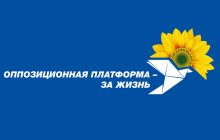 ОПЗЖ подала иск в суд на Киевскую ТИК: в партии заявили о махинациях с округами