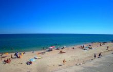 На Азовському морі туристів атакують морські блохи (відео)