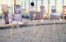 “Природа твоїх Карпат” в центрі Києва