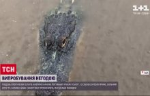 Юг США накрыл мощный ураган "Салли" (видео)