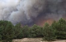 Под Киевом пылает лес на военном полигоне (фото)