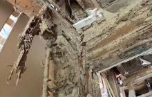 Нагадало фільм жахів: в Австралії терміти з'їли особняк за півмільйона доларів (фото)