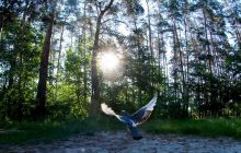 В Киеве на форуме подняли вопрос экотерроризма и экорейдерства в Украине