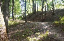 В Житомирской области на месте найденного "Городницкого сокровища" обнаружили городище времен Киевской Руси