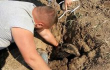 В Одесской области спасли барсука, застрявшего в старой оросительной системе (фото)